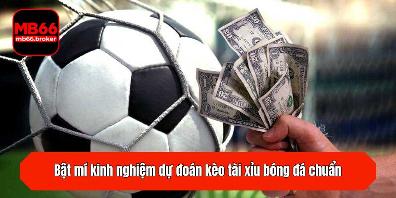Bật mí kinh nghiệm dự đoán kèo tài xỉu chuẩn
