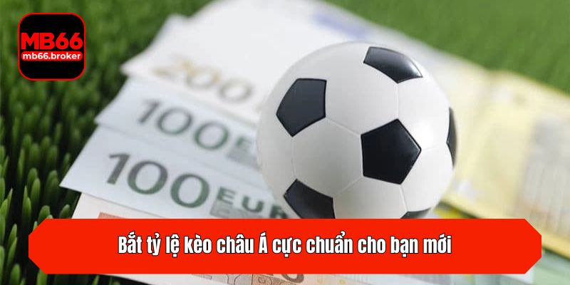 Bắt tỷ lệ kèo châu Á cực chuẩn cho bạn mới