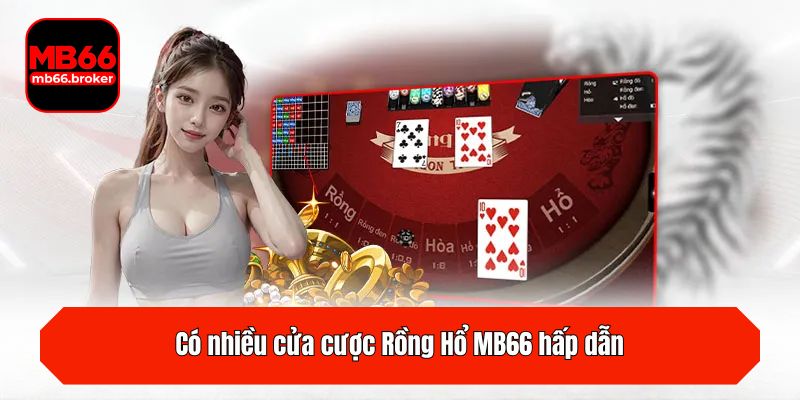 Có nhiều cửa cược Rồng Hổ MB66 hấp dẫn