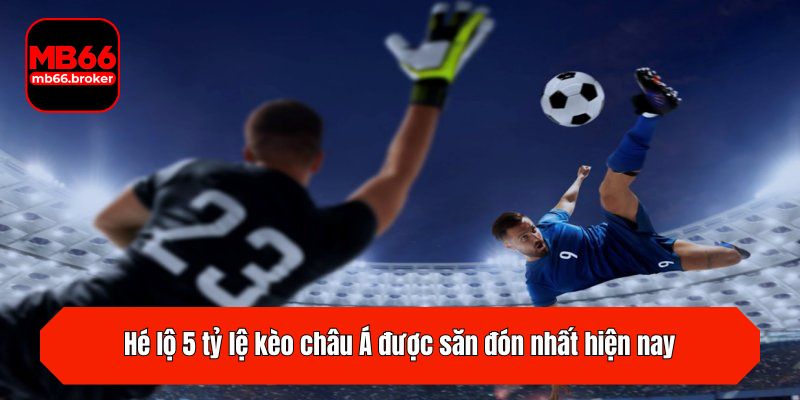Hé lộ 5 tỷ lệ kèo châu Á được săn đón nhất hiện nay