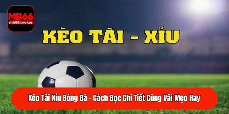 Kèo Tài Xỉu Bóng Đá – Cách Đọc Chi Tiết Cùng Vài Mẹo Hay
