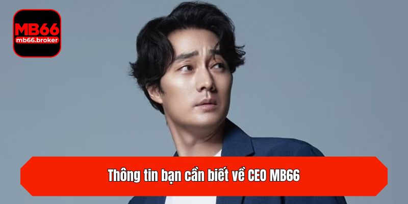 Thông tin bạn cần biết về CEO MB66