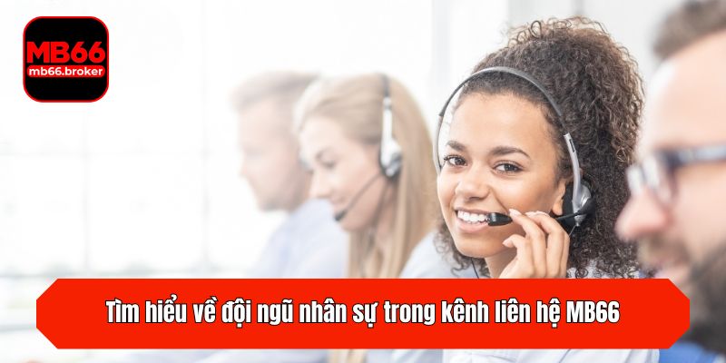 Tìm hiểu về đội ngũ nhân sự trong kênh liên hệ MB66