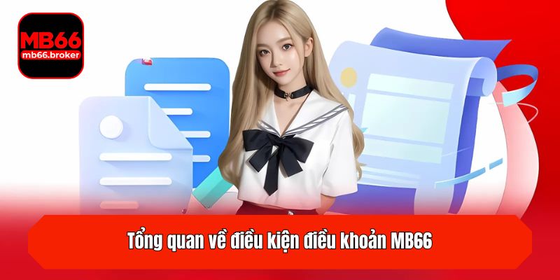 Tổng quan về điều kiện điều khoản MB66