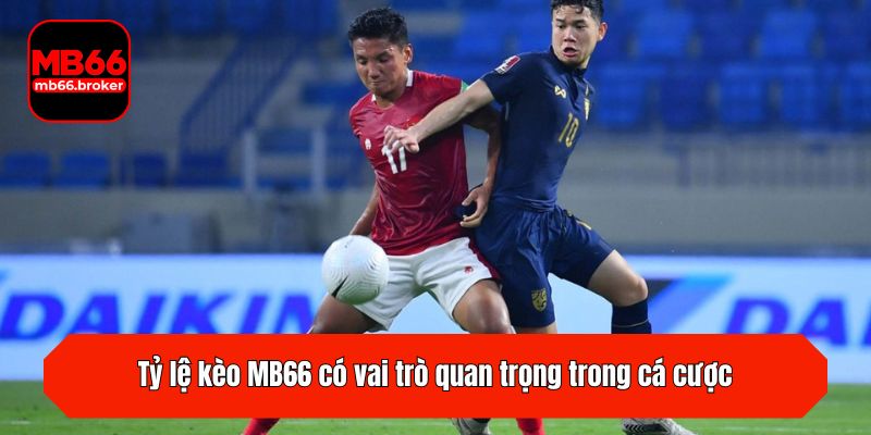 Tỷ lệ kèo MB66 có vai trò quan trọng trong cá cược
