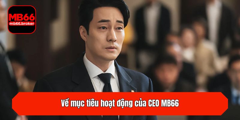 Về mục tiêu hoạt động của CEO MB66